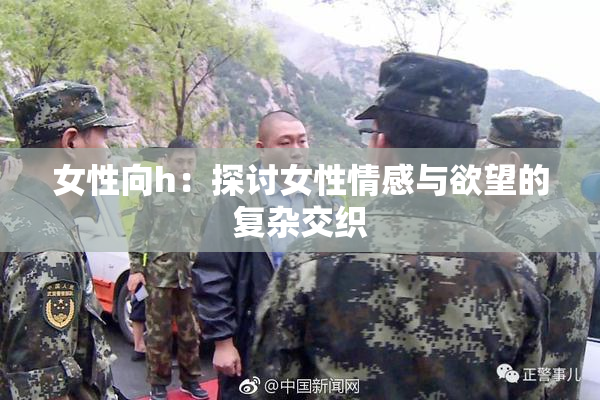 女性向h：探讨女性情感与欲望的复杂交织