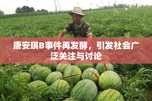 唐安琪B事件再发酵，引发社会广泛关注与讨论