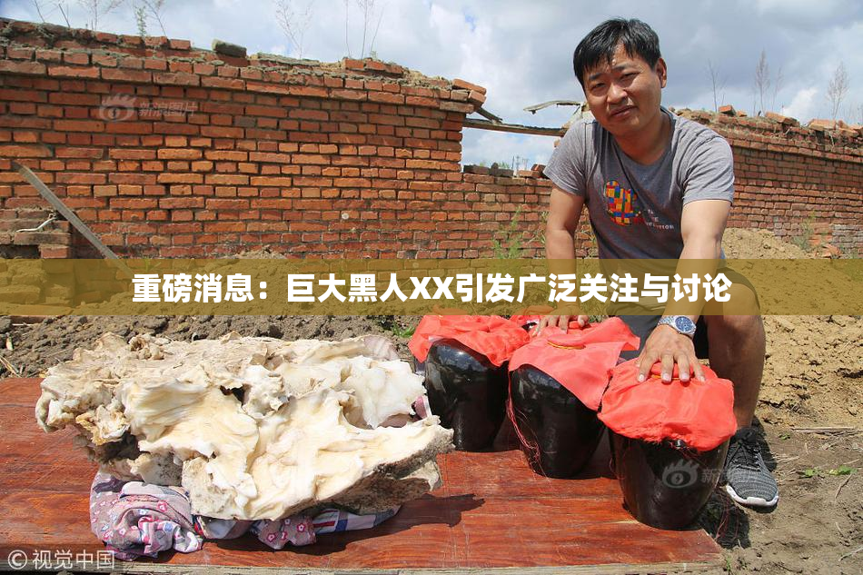重磅消息：巨大黑人XX引发广泛关注与讨论
