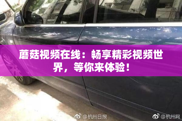 蘑菇视频在线：畅享精彩视频世界，等你来体验！