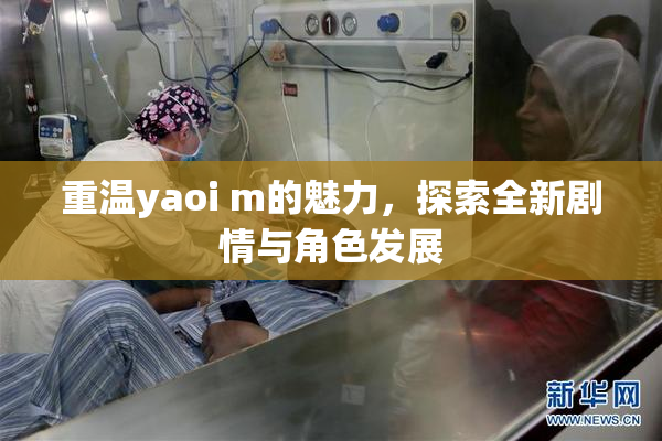 重温yaoi m的魅力，探索全新剧情与角色发展