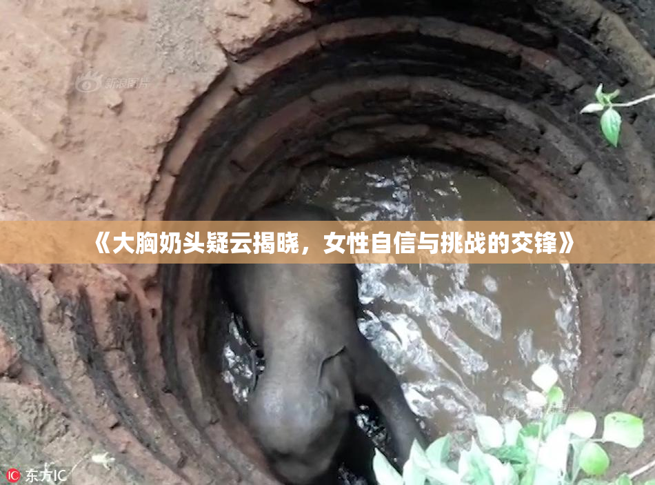 《大胸奶头疑云揭晓，女性自信与挑战的交锋》