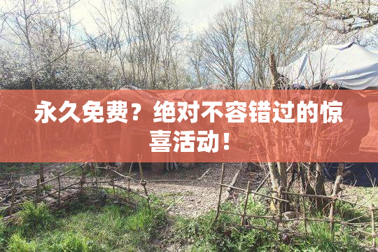 永久免费？绝对不容错过的惊喜活动！