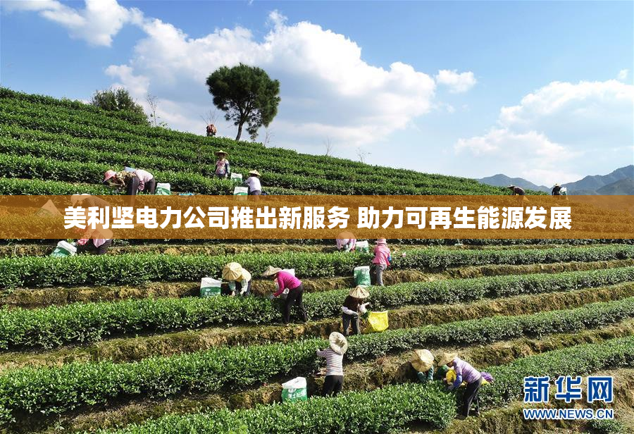 美利坚电力公司推出新服务 助力可再生能源发展