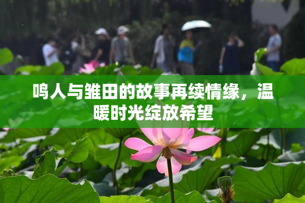 鸣人与雏田的故事再续情缘，温暖时光绽放希望