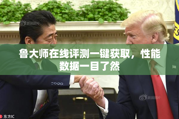 鲁大师在线评测一键获取，性能数据一目了然