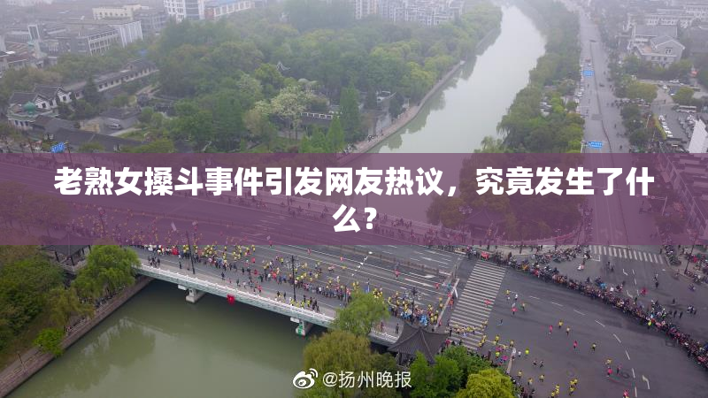 老熟女搡斗事件引发网友热议，究竟发生了什么？