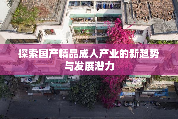 探索国产精品成人产业的新趋势与发展潜力