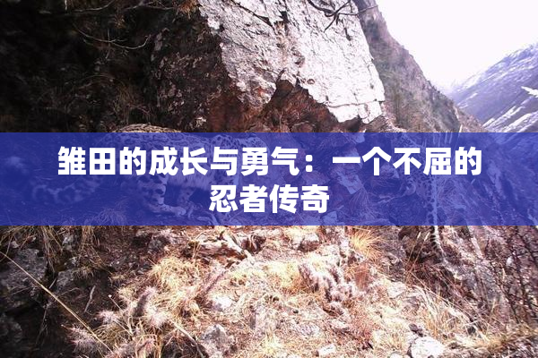 雏田的成长与勇气：一个不屈的忍者传奇