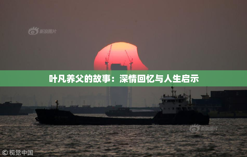 叶凡养父的故事：深情回忆与人生启示