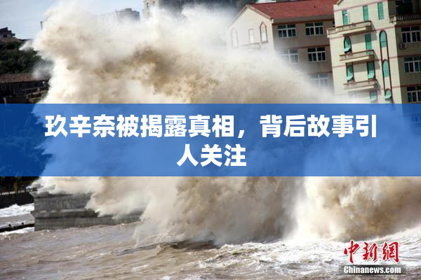玖辛奈被揭露真相，背后故事引人关注