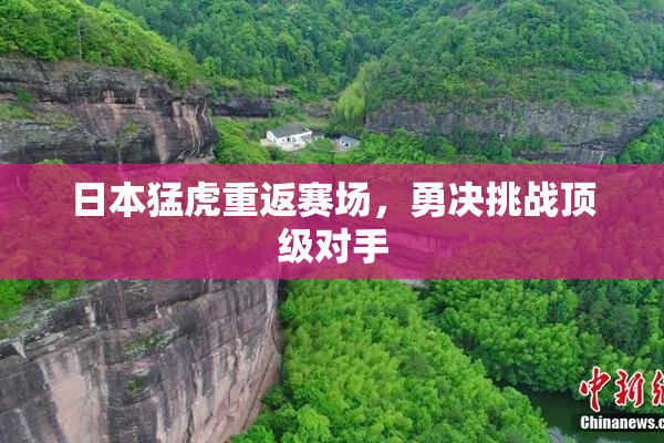 日本猛虎重返赛场，勇决挑战顶级对手