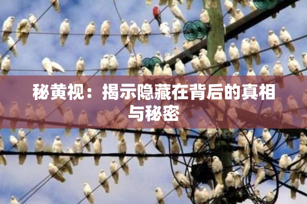 秘黄视：揭示隐藏在背后的真相与秘密