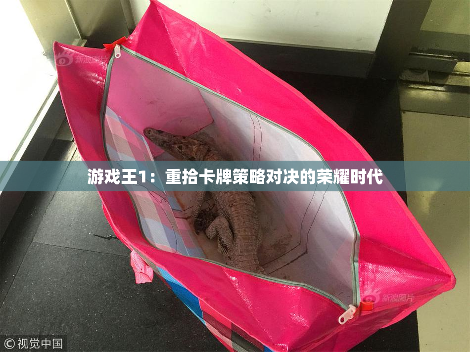 游戏王1：重拾卡牌策略对决的荣耀时代