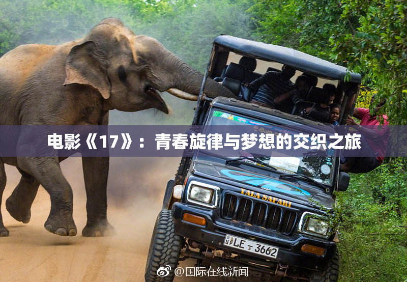电影《17》：青春旋律与梦想的交织之旅