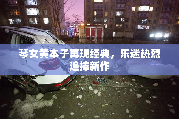 琴女黄本子再现经典，乐迷热烈追捧新作