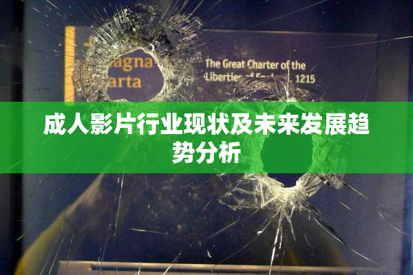 成人影片行业现状及未来发展趋势分析