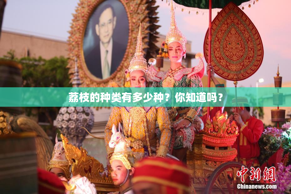 荔枝的种类有多少种？你知道吗？