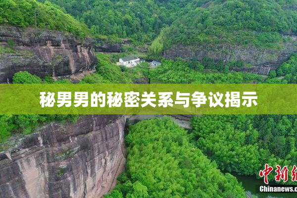 秘男男的秘密关系与争议揭示