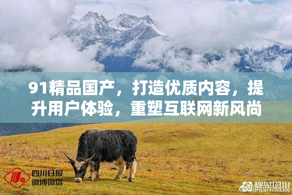 91精品国产，打造优质内容，提升用户体验，重塑互联网新风尚。