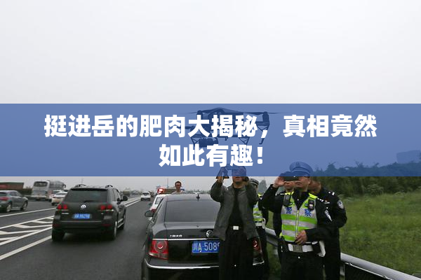 挺进岳的肥肉大揭秘，真相竟然如此有趣！