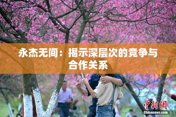 永杰无间：揭示深层次的竞争与合作关系