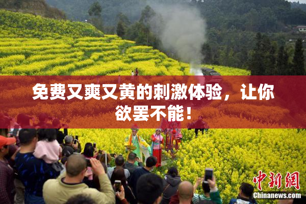免费又爽又黄的刺激体验，让你欲罢不能！