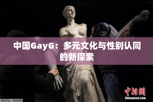 中国GayG：多元文化与性别认同的新探索