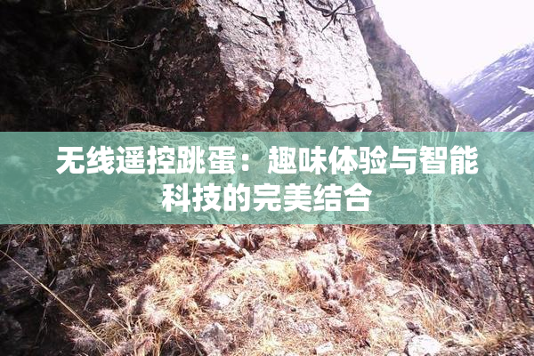 无线遥控跳蛋：趣味体验与智能科技的完美结合