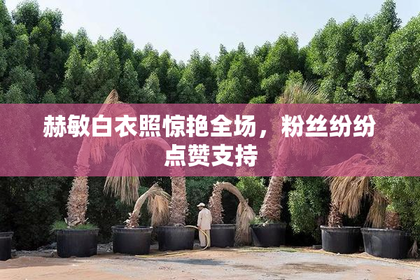 赫敏白衣照惊艳全场，粉丝纷纷点赞支持