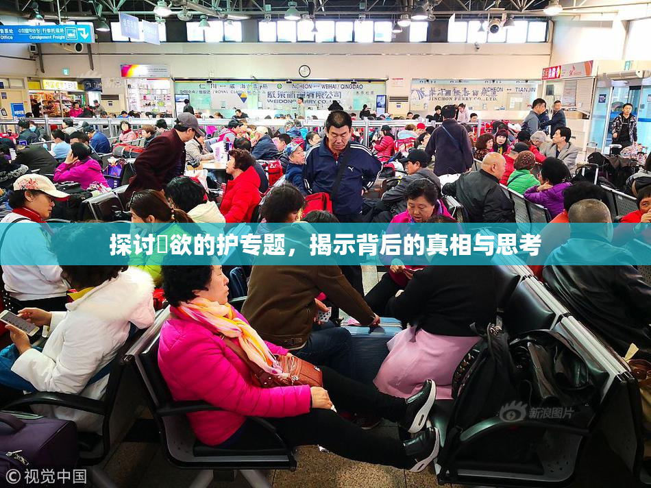 探讨婬欲的护专题，揭示背后的真相与思考