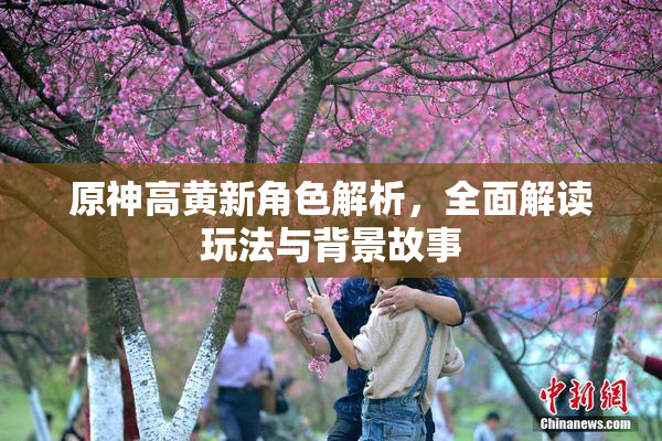 原神高黄新角色解析，全面解读玩法与背景故事