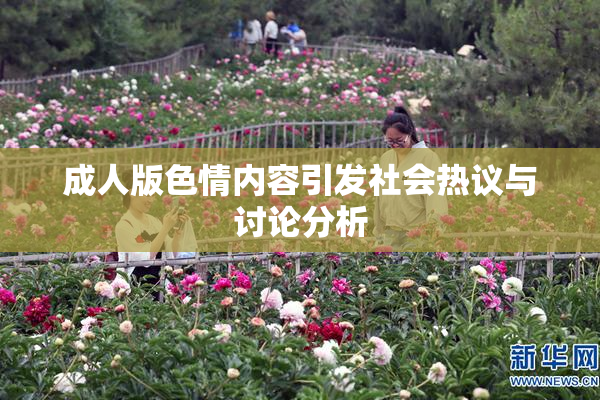 成人版色情内容引发社会热议与讨论分析