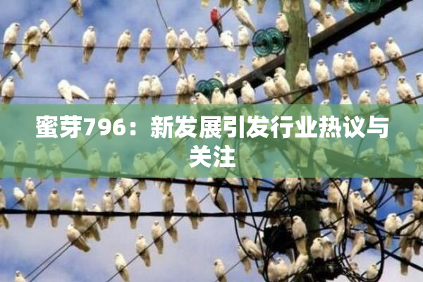 蜜芽796：新发展引发行业热议与关注