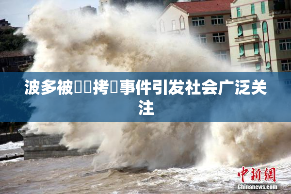 波多被緊縛拷問事件引发社会广泛关注