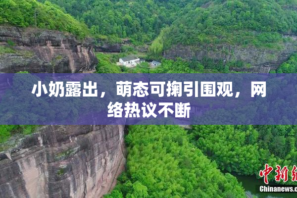 小奶露出，萌态可掬引围观，网络热议不断
