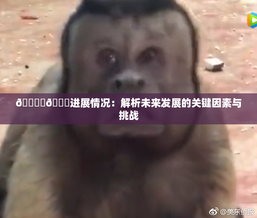 🔞‌🍌进展情况：解析未来发展的关键因素与挑战