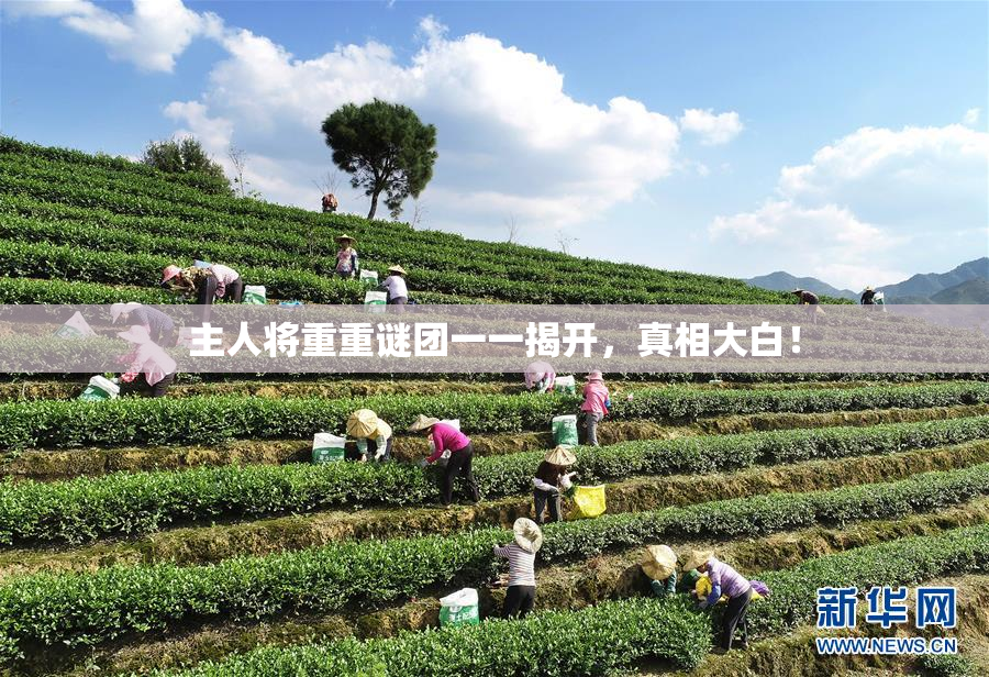 主人将重重谜团一一揭开，真相大白！