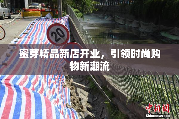 蜜芽精品新店开业，引领时尚购物新潮流