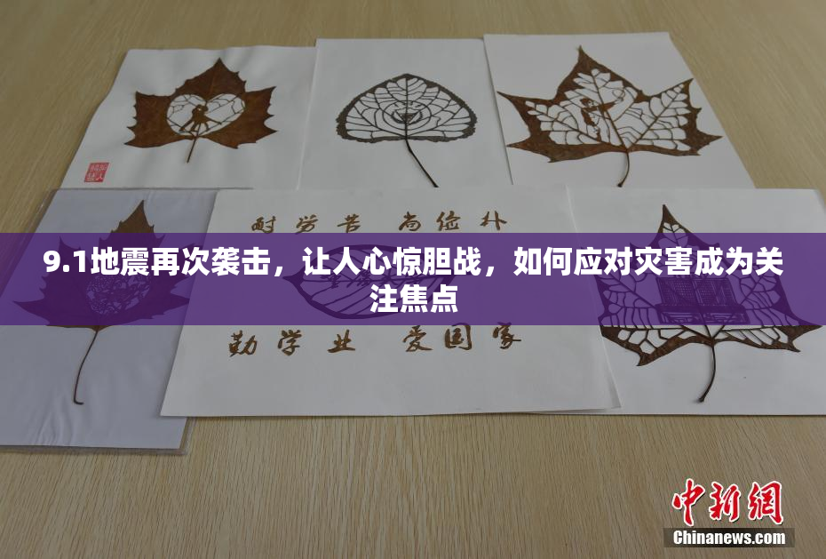 9.1地震再次袭击，让人心惊胆战，如何应对灾害成为关注焦点