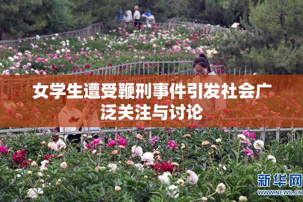 女学生遭受鞭刑事件引发社会广泛关注与讨论
