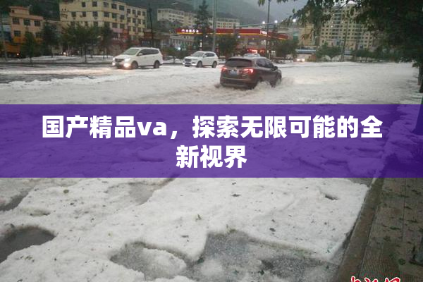 国产精品va，探索无限可能的全新视界