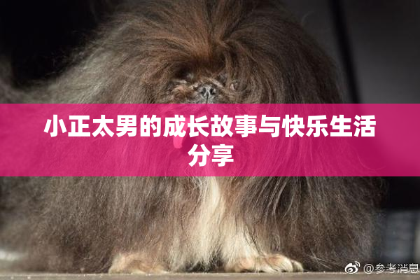 小正太男的成长故事与快乐生活分享