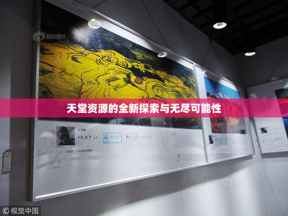 天堂资源的全新探索与无尽可能性