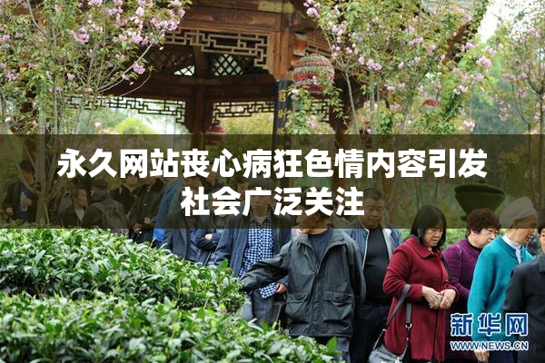 永久网站丧心病狂色情内容引发社会广泛关注