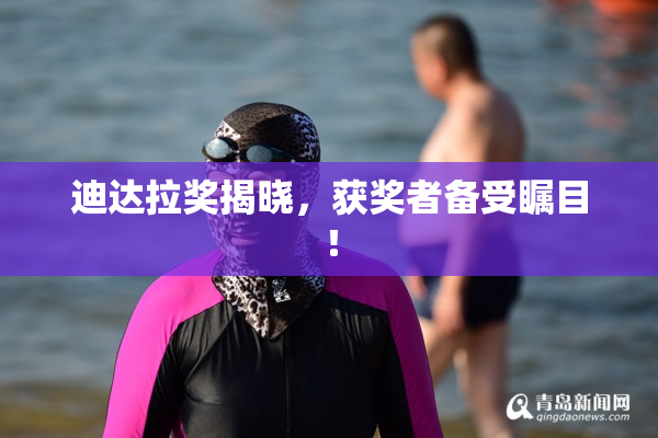 迪达拉奖揭晓，获奖者备受瞩目！
