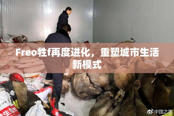Freo牲f再度进化，重塑城市生活新模式