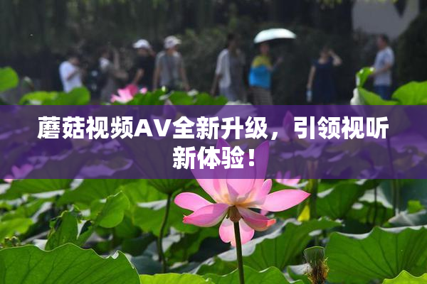 蘑菇视频AV全新升级，引领视听新体验！