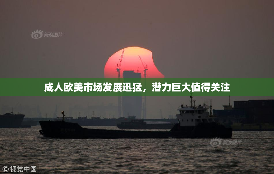 成人欧美市场发展迅猛，潜力巨大值得关注