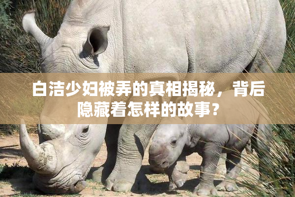 白洁少妇被弄的真相揭秘，背后隐藏着怎样的故事？